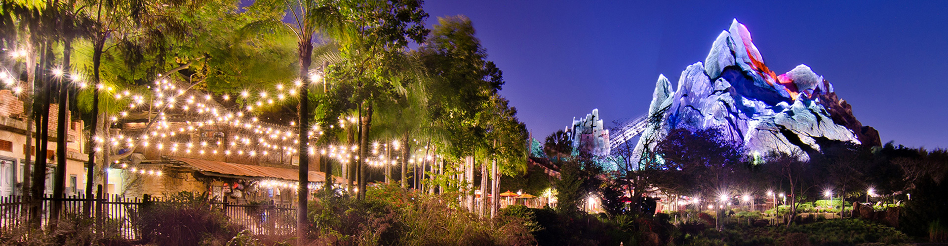 Disney s Animal Kingdom Disney World Touring Plans Crowd Calendar 