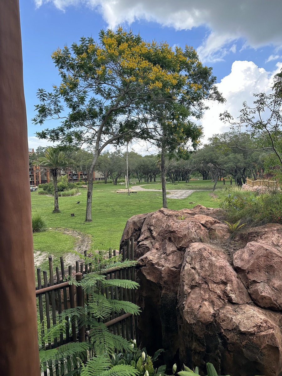 Room View Photo