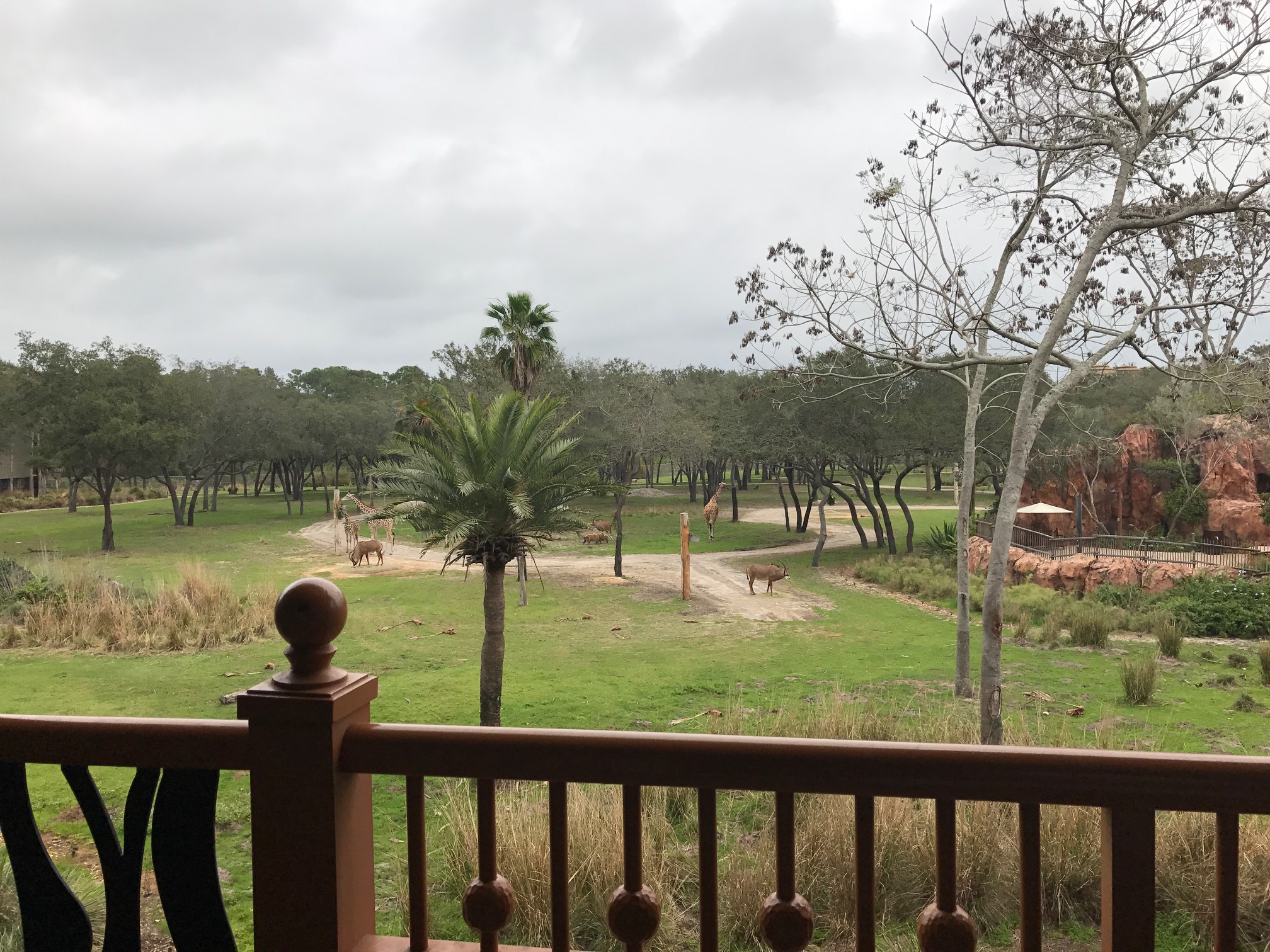 Room View Photo