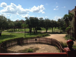 Room View Photo