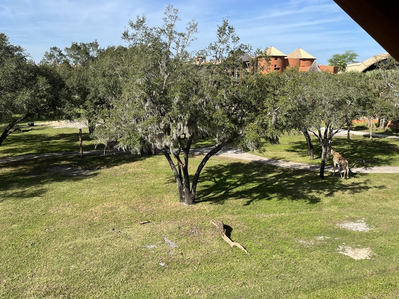 Room View Photo
