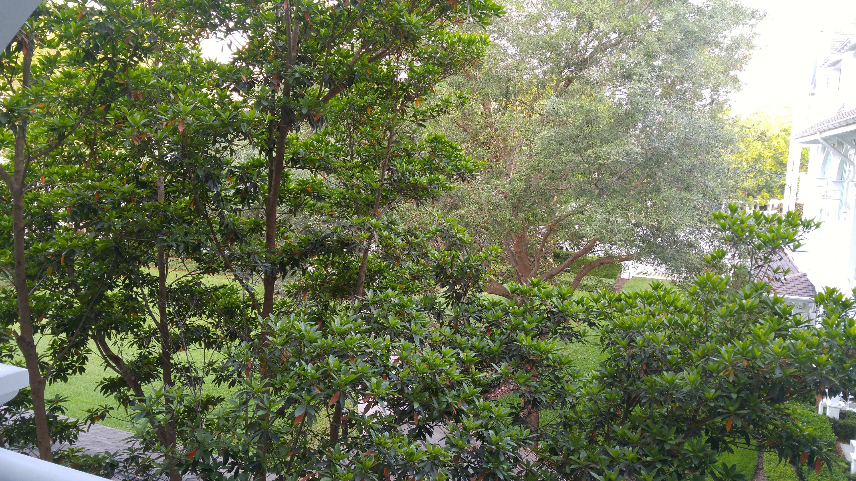 Room View Photo