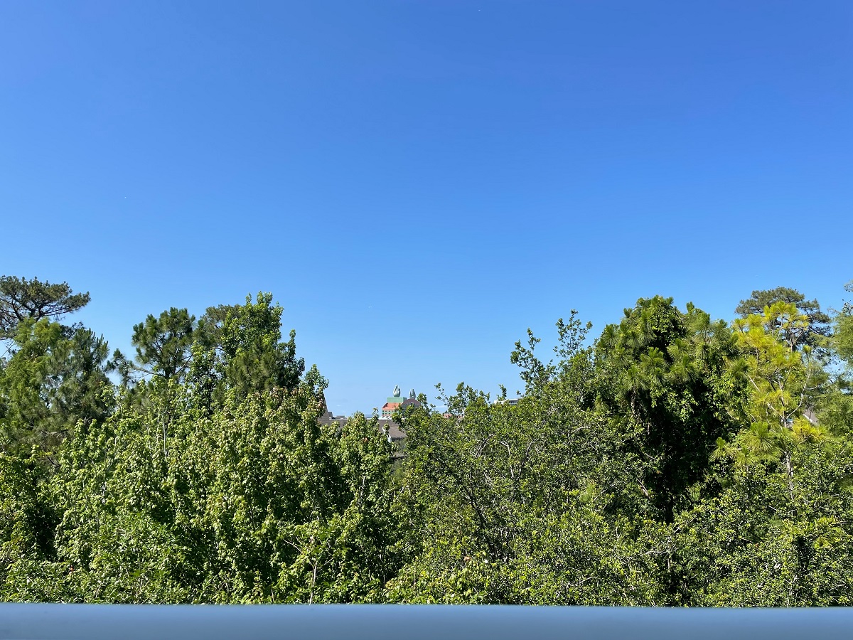 Room View Photo