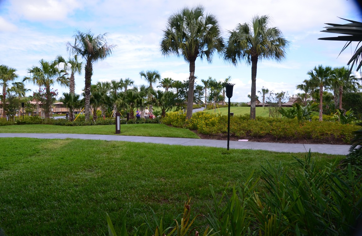 Room View Photo