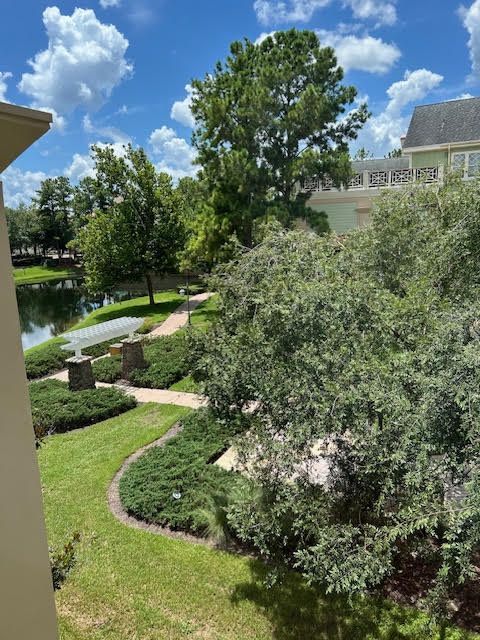 Room View Photo