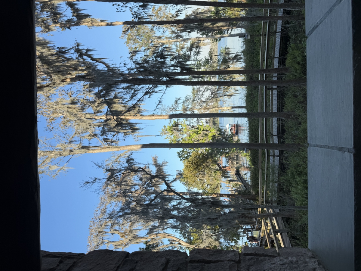 Room View Photo
