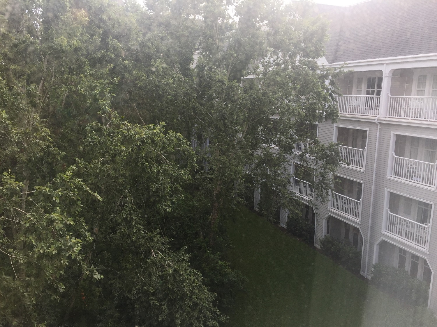 Room View Photo
