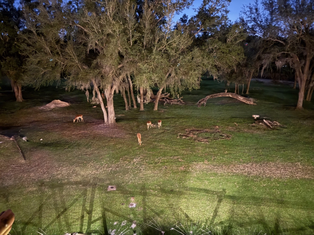 Room View Photo