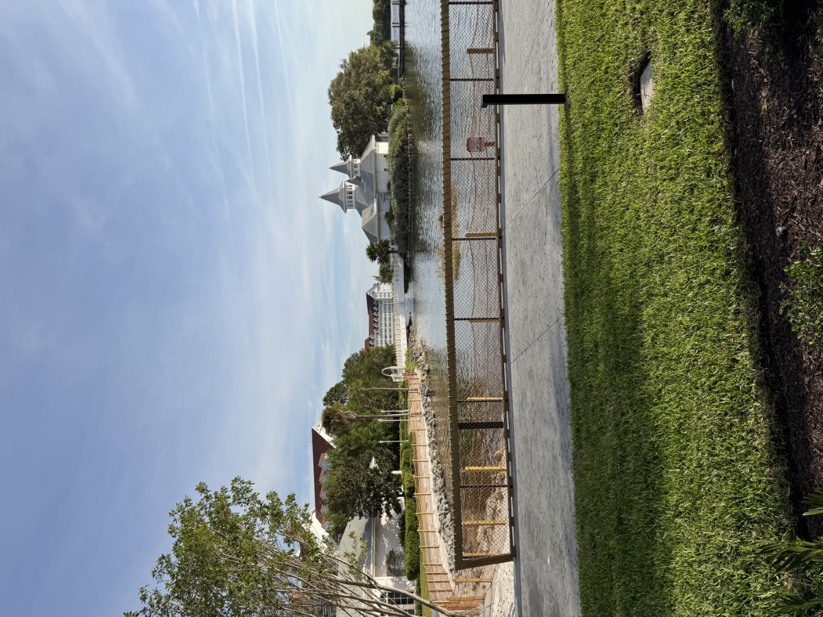 Room View Photo