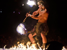 Festival Lion King